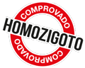 Homozigoto
