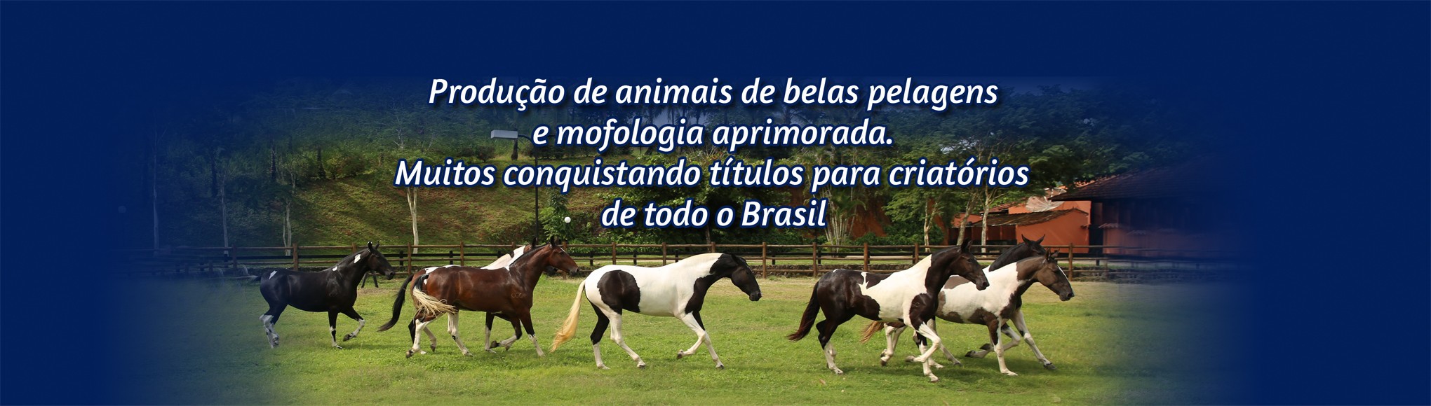 SLIDE 04