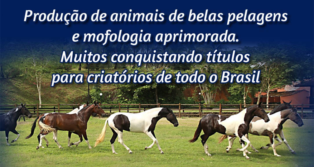 SLIDE 04